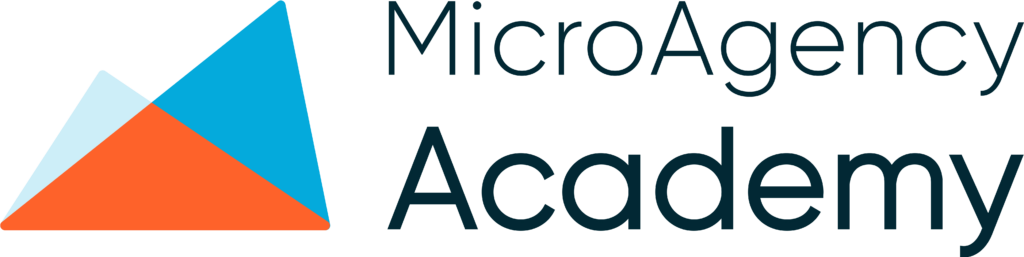 MicroAgency Academy Black Friday